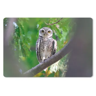 Produktbild von MuchoWow® Mauspad Mousepad Eule auf Ast sitzend 27x18 cm - Mousepads - Maus Mat - Pad - Mausunterlage - Büroartikel - Desk Matten