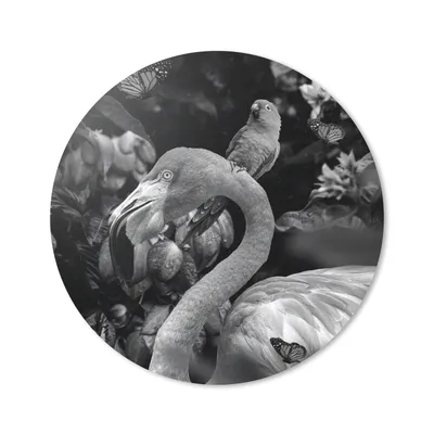 Produktbild von MuchoWow® Mauspad Mousepad Flamingo - Dschungel - Papagei - Schwarz - Weiß 20x20 cm - Mousepads - Maus Mat - Pad - Mausunterlage - Schreibtischmatte