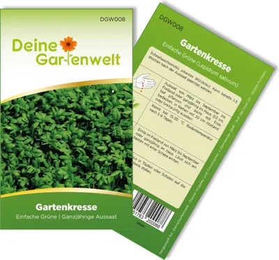 Gartenkresse Einfache Grüne Samen - Lepidium sativum - Gartenkressesamen - Kräutersamen - Saatgut für 1.000 Pflanzen