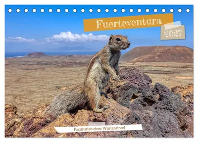 Produktbild von Fuerteventura - Faszination einer Wüsteninsel (Tischkalender 2027 DIN A5 quer), CALVENDO Monatskalender