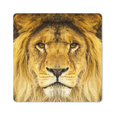 Produktbild von MuchoWow® Mauspad Mousepad Löwe - Porträt - Braun 20x20 cm - Mousepads - Maus Mat - Pad - Mausunterlage - Desk Mat - Bureauartikeln