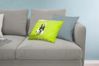 Produktbild von MuchoWow® Zierkissen Sofakissen Wohnzimmer Dekokissen 60x40 cm Französische Bulldogge - Welpe - Gras - Kopfkissen - Polster mit Foto