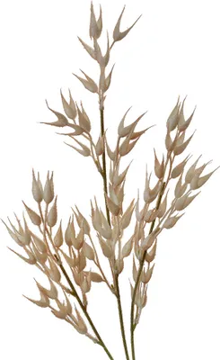 Image de Clayre & Eef Fleur artificielle 72 cm Beige Plastique