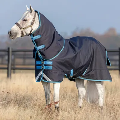Produktbild von Horseware Weidedecke in Größe 75 - Amigo Bravo Pony Plus Turnout Medium 250g