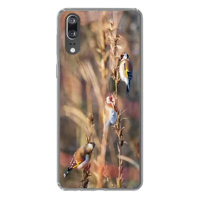 Produktbild von MuchoWow® Handyhülle Schutzhülle Hülle für Huawei P20 Vögel - Äste - Wald Silikon Softcase Handy Hülle - Hardcover