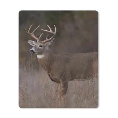 Produktbild von MuchoWow® Mauspad Mousepad Herbst - Hirsche - Gras - Natur - Tiere 30x40 cm - Mousepads - Maus Mat - Pad - Mausunterlage - Mausmatten