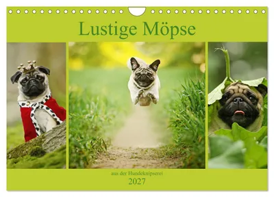 Produktbild von Lustige Möpse aus der Hundeknipserei (Wandkalender 2027 DIN A4 quer), CALVENDO Monatskalender