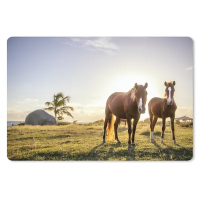 Produktbild von MuchoWow® Mauspad Mousepad Pferde - Sonne - Gras 27x18 cm - Mousepads - Maus Mat - Pad - Mausunterlage - Büroartikel - Desk Matten