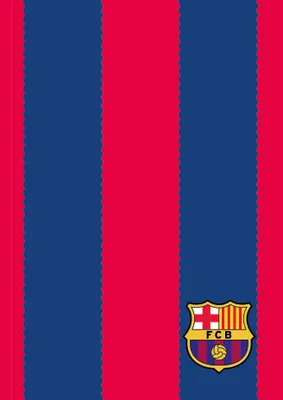 Image de Chemise à élastique A4 FC Barcelona Astra