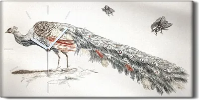 Produktbild von Leinwand Wanduhr Wandkunst Uhr Geräuschlos 60x30 Gemälde Tier Vogel Pfau Kunst - weiße Hände