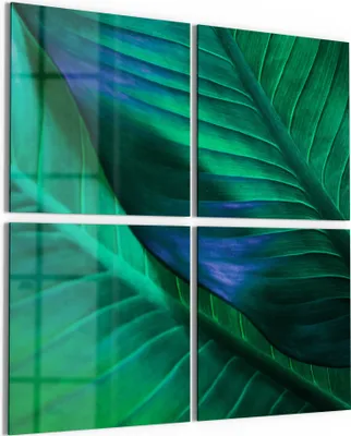 Produktbild von DEQORI Glasbild Echtglas 4x50x50 cm 'Tropenblattstruktur' Wandbilder XXL groß