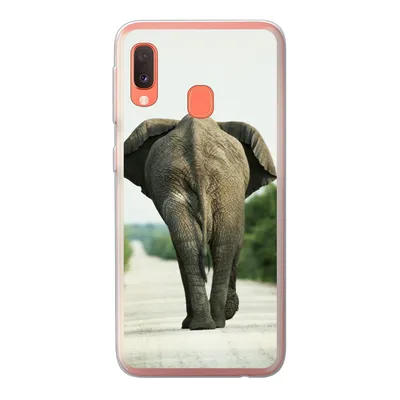 Produktbild von MuchoWow® Handyhülle Schutzhülle Hülle für Samsung Galaxy A20e Elefant - Kröte - Tiere - Natur Silikon Softcase Handy Hülle - Abdeckung