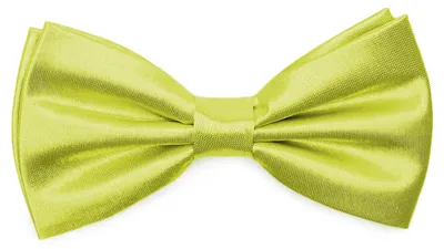 Produktbild von Ladeheid Elegante Herren Fliege -Hochwertig Glänzend Verstellbar BMS (12cmx6cm)