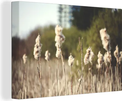 Produktbild von OneMillionCanvasses® - Leinwandbilder - 140x90 cm, Baumwolle - Sonne - Pflanzen, Wandbilder Kunstdruck Wanddekoration - Foto auf Leinwand - Gemälde auf Holzrahmen