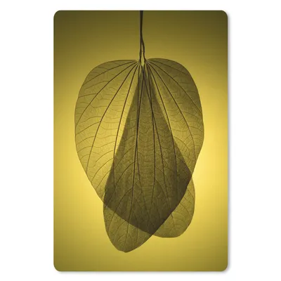 Produktbild von MuchoWow® Mauspad Mousepad Skelett mehrerer botanischer Blätter auf gelbem Hintergrund 40x60 cm - Mousepads - Maus Mat - Pad - Mausunterlage - Schreibtisch Accesoire