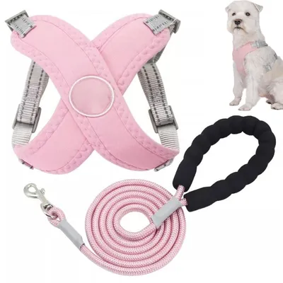 Immagine prodotto di Set di pettorina per cani taglia XL – con guinzaglio da 1,5 m – pettorina anti-tiro riflettente – imbottita – pettorina regolabile per cani e gatti di piccola taglia