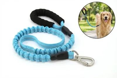 Obrázek produktu pro Reflexní odpružené vodítko pro velké psy, 80-117 cm, modré - bungee lano