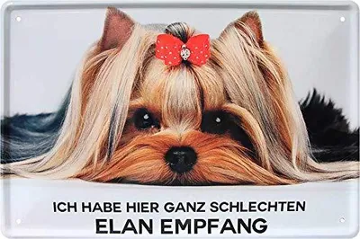 Metallschild Spruch Hund 20x30 cm Deko