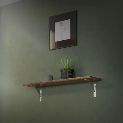 A shelf with a plant and a small speaker, mounted on a textured green wall.