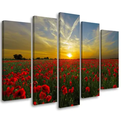 Produktbild von 5-teiliges leinwandbild sonnenuntergang mohnblumenwiese 150x100 cm Feeby rot wandbild bereit zum aufhängen