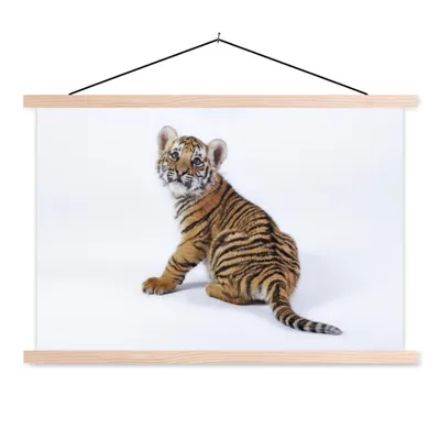Produktbild von MuchoWow® Textilposter Jungtier - Tiger - Tier 60x40 cm mit holzfarbenen Rahmen - Bilder