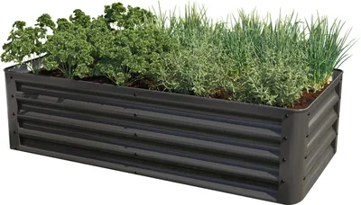 A raised garden bed filled with various herbs and plants, set against a white background.