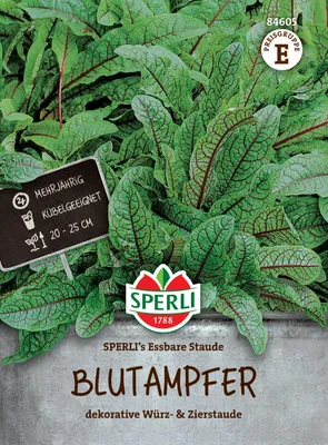 Produktbild von SPERLI Essbare Staude Blutampfer Rumex sanguineus 80 Pflanzen