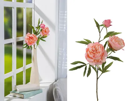 Produktbild von Gilde Deko Pfingstrose/3"Louise"