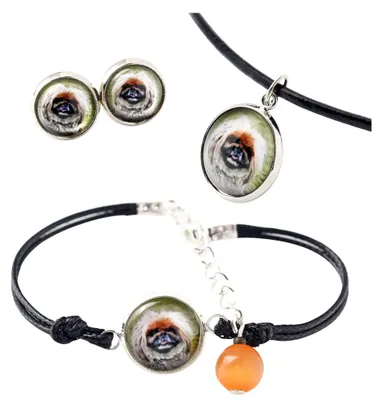 Productafbeelding van Art-Dog Sieradenset – Pekinees – met geschenkdoos