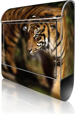 Produktbild von banjado Design Briefkasten Stahl silber mit Zeitungsfach pulverbeschichtet "Tiger" 38x46x12,5cm & 2 Schlüssel - Postkasten A4 Einwurf inkl. Montagematerial [BK 10502]