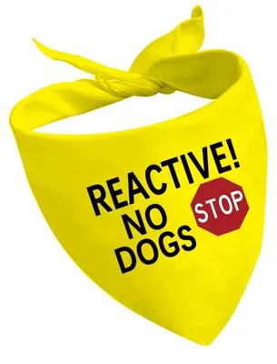 Imagen del producto de Solidchoice - Pañuelo para perros con el texto "No admitimos perros reactivos"