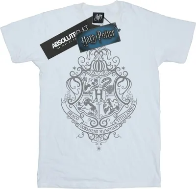 Produktbild von Harry Potter - "Hogwarts Draco Dormiens" T-Shirt für Herren BI29517 (3XL) (Weiß)
