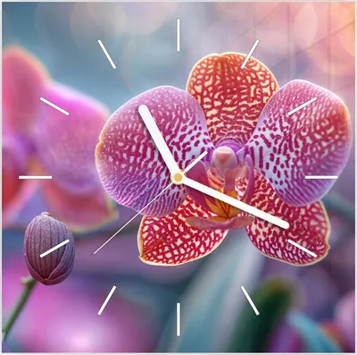 Produktbild von Wanduhr aus Glas mit Motiv Exotische Orchidee- 30 x 30 cm - inkl. Aufhängesystem