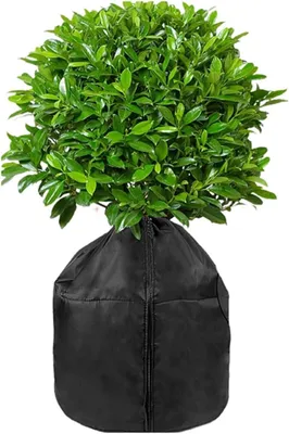 Produktbild von 45 x 50 cm Pflanzenschutzhüllen für Garten, Terrasse und Außenbereich
