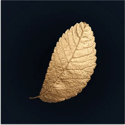Produktbild von MuchoWow® Poster Gold - Blätter - Schwarz - Pflanzen - Luxus - Natur 75x75 cm - Wand Dekoration