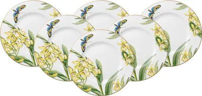 Produktbild von Villeroy & Boch Amazonia Anmut Frühstücksteller ø 22,5 cm 6er Set