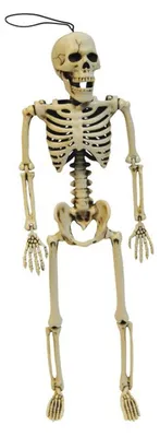 Produktbild von Positionierbares Halloween Skelett 35cm
