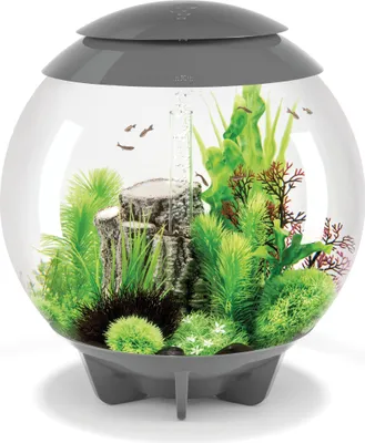 Produktbild von biOrb HALO 60 MCR grau (72045)