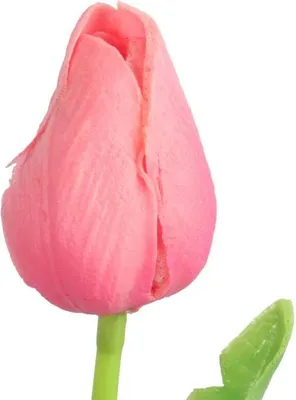 Zdjęcie produktu dla Sztuczny Tulipan Gumowany w Kolorze Różowym, Wysokość 34 cm