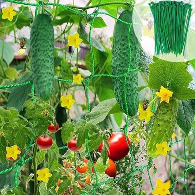 Obrázek produktu pro Spony na rajčata a růže, Klimplantenrek 2 x 2,5 m