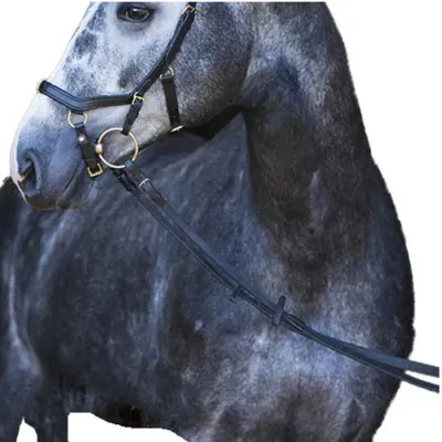 Obrázok produktu pre Rambo Micklem Multibridge Original Reins Grey Full Grey Full