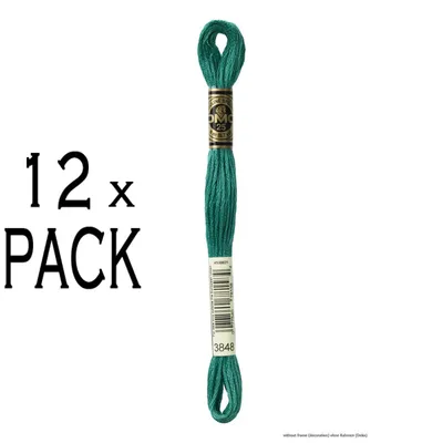Obrázok produktu pre 12 motúzky výšivacej priadze DMC Mouline Special 117MC - 3848, 6 nití, 8 metrov