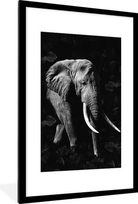 Produktbild von MuchoWow® Gerahmtes Poster Botanischer Elefant auf dunklem Hintergrund - schwarz und weiß 60x90 cm - Poster mit Schwarzem Bilderrahmen Wandposter Rahmen Foto Bilder - Dekoration - Wandposter Wohnzimmer - Hochwertig