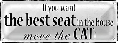 Produktbild von Blechschild Spruch 27x10cm if you want best seat move Cat Dekoration