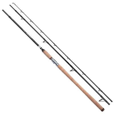 Produktbild von Shimano Fishing Speedmaster Salmon Cast Bootsrute Silber 3.76 m / 50-120 g Silber 3.76 m