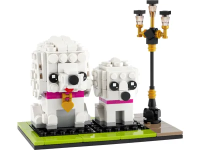 Obrázok produktu pre LEGO Iconic 40546, Stavebnica, 8 rok / roky, Plast, 304 kusov, 257 g