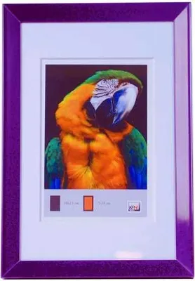 A purple picture frame with a mat and a picture of a parrot inside. There are small color swatches and text below the parrot picture.