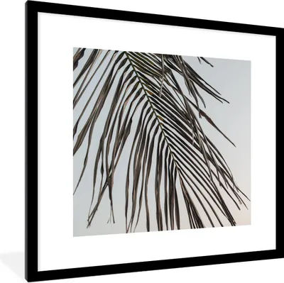 Produktbild von MuchoWow® Gerahmtes Poster Sommer - Blatt - Palme 40x40 cm - Poster mit Schwarzem Bilderrahmen Wandposter Rahmen Foto Bilder - Poster - Plakat im Rahmen