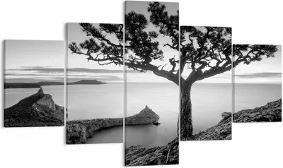 Produktbild von Bild auf Leinwand - Leinwandbild - 5 Teile - Baum Schwarzweiß Ansicht - 125x70cm - Wand Bild - Wanddeko - Wandbilder - Leinwanddruck - Bilder - Wanddekoration - Leinwand bilder - EA125x70-4297