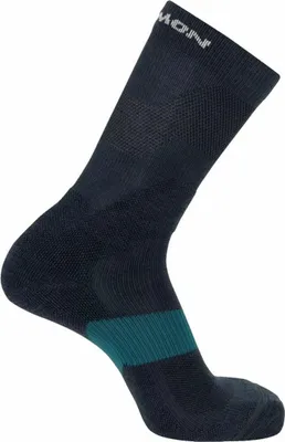 Image de Chaussettes Salomon X Ultra Crew Gris 42-44